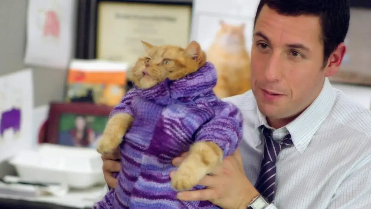 Adam Sandler w swetrze z kotem, scena z jego filmów.